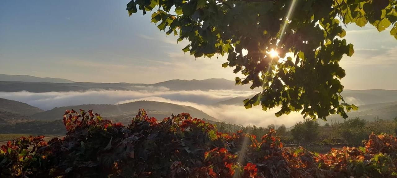 Quinta Alto Da Fraga Villa Vila Nova de Foz Côa Eksteriør bilde