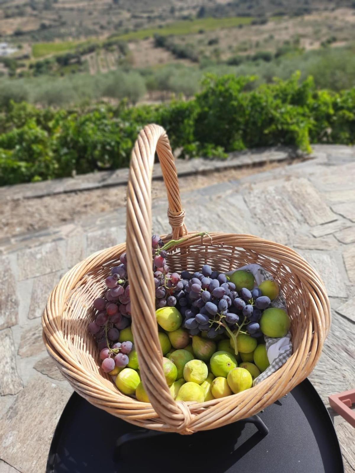 Quinta Alto Da Fraga Villa Vila Nova de Foz Côa Eksteriør bilde